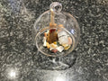 Mixed Natural Crystals, Broomstick