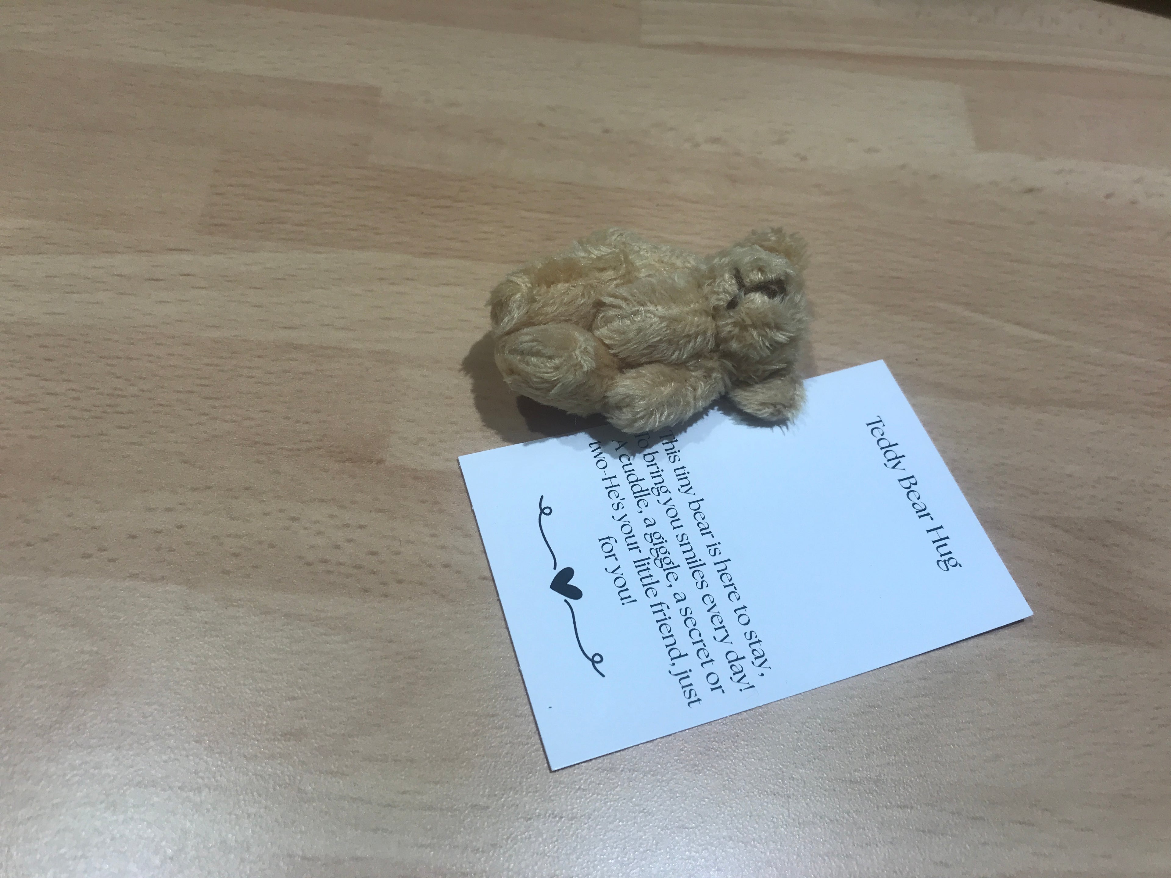 Light Brown Teddy bear hug